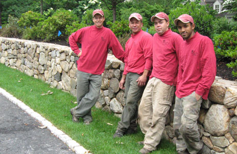 Countryside Tree & Landscape
